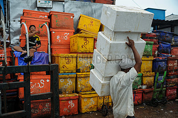 Yangon  Myanmar  Arbeiter traegt auf dem traditionellen Baho San Pya Fischmarkt Kuehlboxen aus Styropor