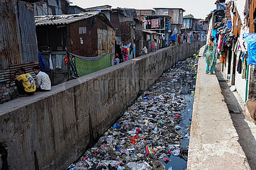 Mumbai  Indien  Ein mit Hausmuell und Plastikabfaellen uebersaehter Fluss in Mumbais Armenviertel Dharavi
