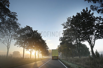 Neu Heinde  Deutschland  LKW faehrt bei Sonnenaufgang auf einer Allee durch den Nebel