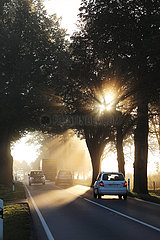 Neu Heinde  Deutschland  Autos und LKW fahren bei Sonnenaufgang auf einer Landstrasse