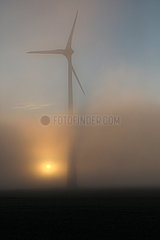 Neu Heinde  Deutschland  Windkraftanlage bei Sonnenaufgang im Nebel