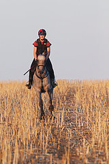 Gestuet Westerberg  Reiterin und Pferd bei einem Ritt ueber ein Stoppelfeld. Carla Rodde auf Chouain