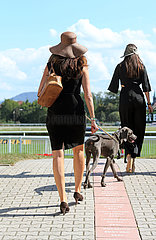 Iffezheim  Deutschland  Fashion: elegant gekleidete Frauen mit Hund auf der Galopprennbahn