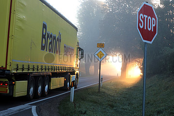 Neu Heinde  Deutschland  LKW faehrt bei Sonnenaufgang auf einer Allee durch den Nebel