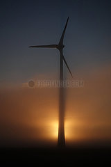 Neu Heinde  Deutschland  Windkraftanlage bei Sonnenaufgang im Nebel