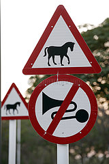 Doha  Verkehrsschilder: Achtung Pferde  Hupen verboten