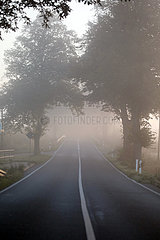 Neu Heinde  Deutschland  Landstrasse versinkt im Nebel