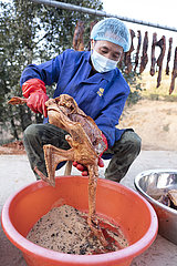 #CHINA-GUIZHOU-TRADITION-PRESERVED MEAT (CN)