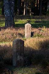 Deutschland  Lohheide - Kriegsgefangenfriedhof der Gedenkstaette Bergen-Belsen. Hier liegen sowjetische Soldaten  die die Nazis zu Tode gequaelt haben