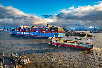 Containerschiff Cosco Shipping Scorpio auf der Elbe