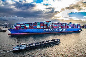 Containerschiff Cosco Shipping Scorpio auf der Elbe