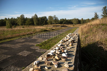 Deutschland  Lohheide - Gedenkstaette Bergen-Belsen  Massengrab von 1945 mit 2500 Toten  darauf Steine zum Gedenken  platziert von juedischen Besuchern