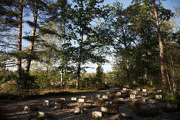 Deutschland  Lohheide - Gedenkstaette Bergen-Belsen  symbolische Graeber zum Gedenken an Opfer des Lagers