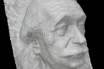 CGI-Visualisierung: Portrait: Albert Einstein