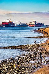 Containerschiff Guaquil Express auf der Elbe