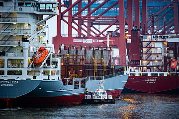 Containerschiffe am Eurogate