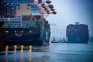 Containerschiffe am Eurogate