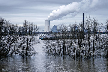 Hochwasser am Rhein  Duisburg  Nordrhein-Westfalen  Deutschland