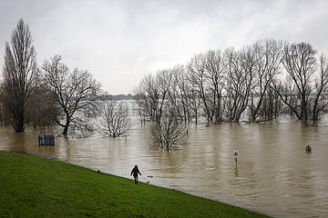 Hochwasser am Rhein  Duisburg  Nordrhein-Westfalen  Deutschland