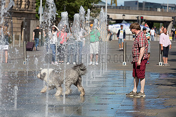 Grossbritannien  Nordirland  Belfast - Hund vergnuegt sich bei sommerlichen Temperaturen an einem ebenerdigen Brunnen