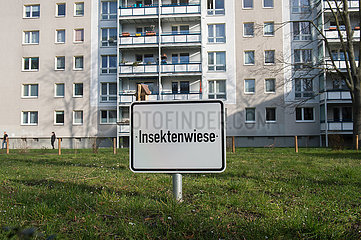 Berlin  Deutschland - Hinweisschild Insektenwiese in einer Wohnanlage