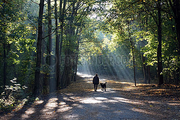 Berlin  Deutschland  Frau macht am Morgen mit ihrem Hund einen Spaziergang im Grunewald