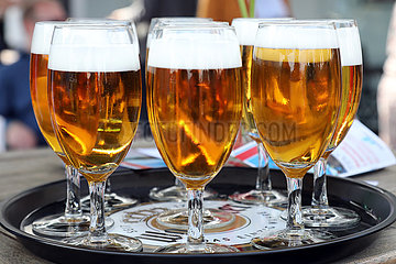 Hannover  Deutschland  Glaeser mit frisch gezapftem Bier