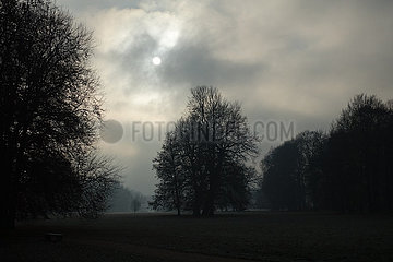 Neuhardenberg  Deutschland  Sonne scheint durch Nebelschwaden auf den Schlosspark