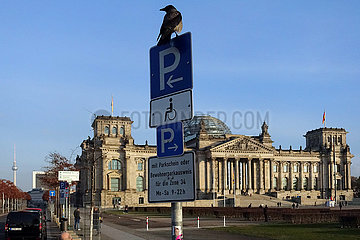 Berlin  Deutschland  Kraehe sitzt auf einem Parkhinweisschild am Reichstagsgebaeude