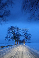Jueterbog  Deutschland  schneebedeckte Landstrasse bei Morgendaemmerung