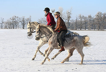 Altlandsberg  junges Paar macht am Valentinstag einen Ausritt in der winterlichen Landschaft