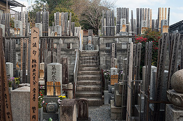 Kyoto  Japan  Japanischer Friedhof mit Grabsteinen und traditionellen Sotoba-Hoelzern