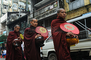 Yangon  Myanmar  Eine Gruppe buddhistischer Moenche sammelt Almosen