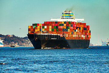 Blick auf die Elbe mit Containerschiff