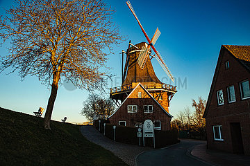 Historische Mühle hinterm Deich in Jork an der Elbe