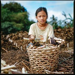 Child Labour at Sugar Cane Plantation