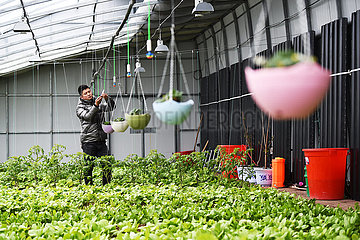 Xinhua Schlagzeilen: China Frühling Landwirtschaft geht High-Tech-Nahrungsmittelsicherheit zu gewährleisten