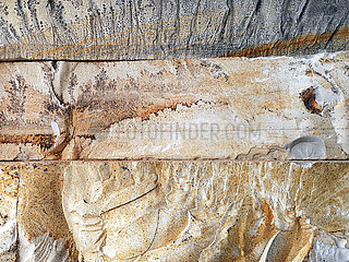 Kalkplatte in Solnhofen mit Dendriten(auskristallisierte Eisen- und Manganverbindungen) aus dem Oberjura vor ca. 150 Mio Jahren.