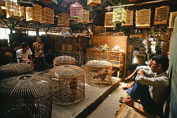 Vogelmarkt Yokyakarta