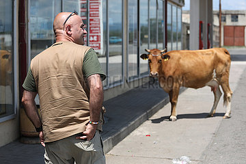 Tiflis  Georgien  Mann und Kuh begegnen sich in der Stadt auf einem Gehweg