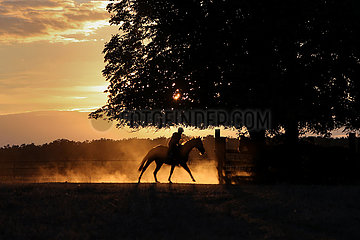 Gestuet Westerberg  Silhouette  Pferd und Reiterin im Sommer bei Sonnenuntergang auf der Weide