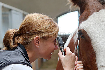 Muenchehofe  Tieraerztin schaut sich das Auge eines Pferdes mit einem Otoskoplaempchen und Lupe an