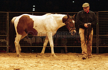 Berlin  Monty Roberts beim Join-up mit einem aengstlichen Pferd
