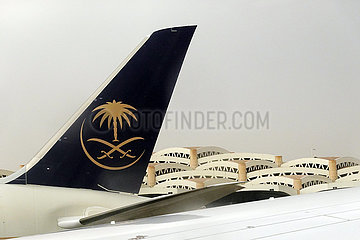 Riad  Saudi-Arabien  Seitenleitwerk eines Flugzeuges der Saudi Arabian Airlines