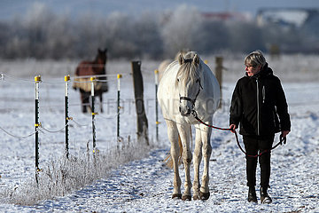 Bruchmuehle  Frau holt im Winter ihr Pferd von der Koppel