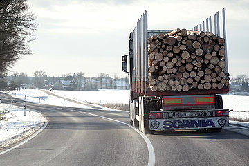 Schwedt  Deutschland  gefaellte Baumstaemme werden im Winter mit einem LKW transportiert