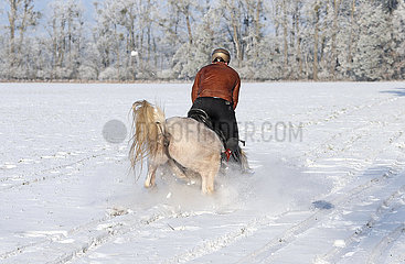Altlandsberg  Pferd und Reiter stuerzen bei einem Ausritt auf schneebedecktem Boden