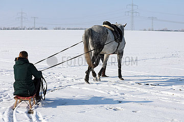 Bruchmuehle  junge Frau laesst sich auf einem Schlitten sitzend von einem gesattelten Pferd ziehen