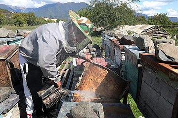 Telawi  Georgien  Imker arbeitet an seinen Bienenbeuten