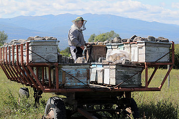 Telawi  Georgien  Imker kontrolliert auf einem Anhaenger seine Bienenbeuten